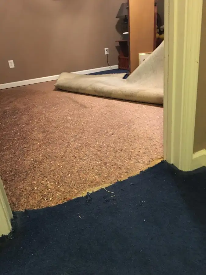 Carpet pad removal revealing water damage during Water Mitigation Services in Pleasant View